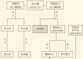 武氏家族人物关系及命运脉络