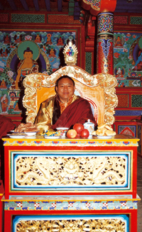 藏传佛教藏传佛教宁玛派洛噶法王