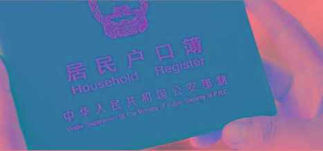 族谱知识