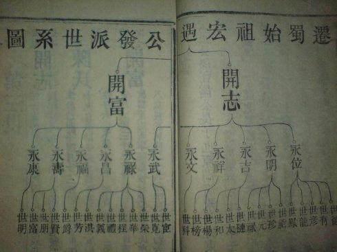 族谱知识