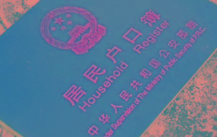 族谱知识