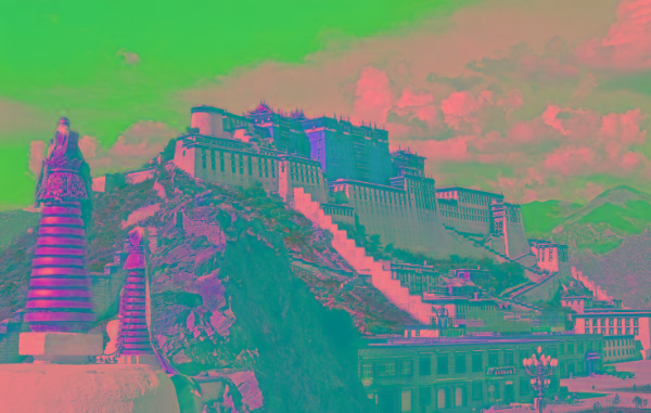 族谱知识