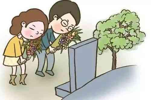 族谱知识