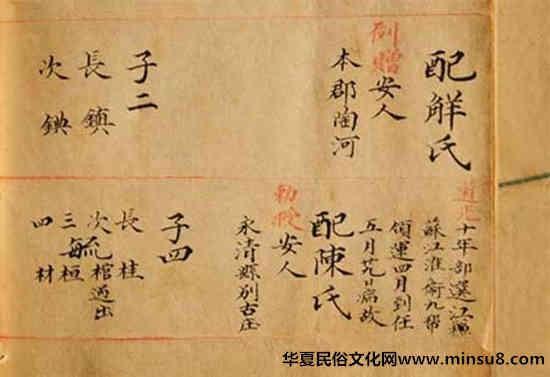 族谱知识