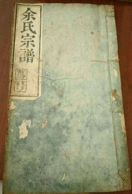 族谱知识