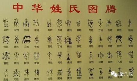 族谱知识