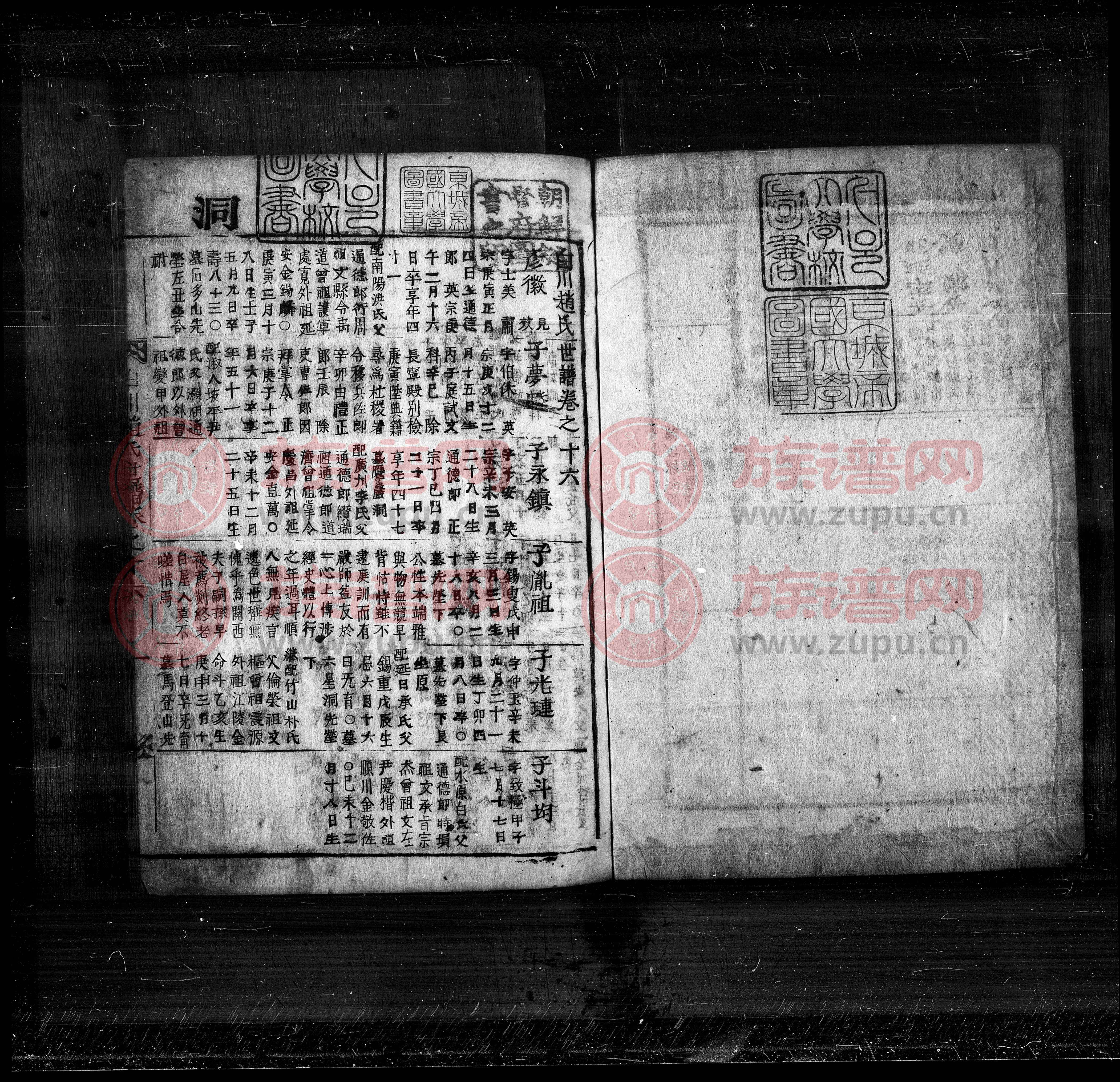 白川赵氏族谱10101950第2本