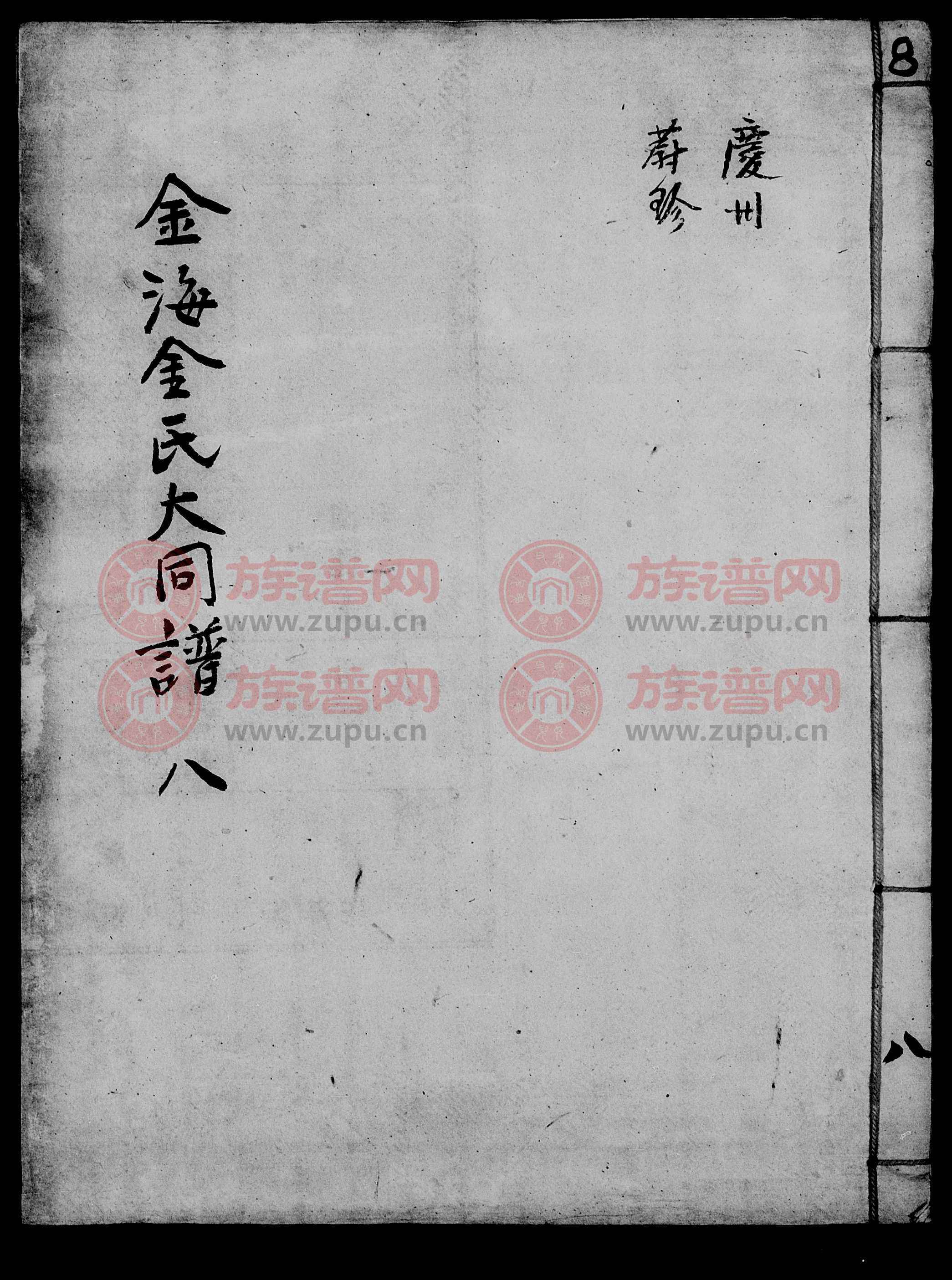 金海金氏大同谱 550-1924