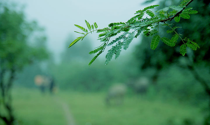 优秀征文|网络祭拜：让人间没有隔断的爱与缅怀