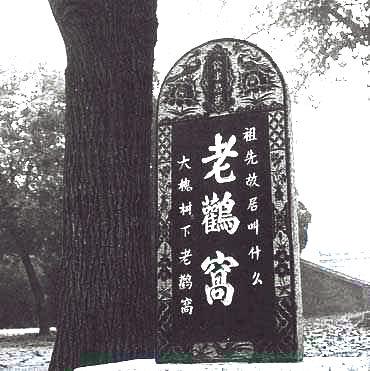 【小谱说堂号】山西洪洞大槐树：八百多个姓氏从此迁出，后来都去哪里了?