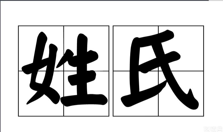 名字可以随便取，那姓氏可以任意选择吗？