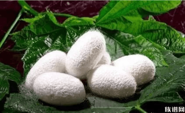 小满节气有哪些风俗?小满三候又是什么?