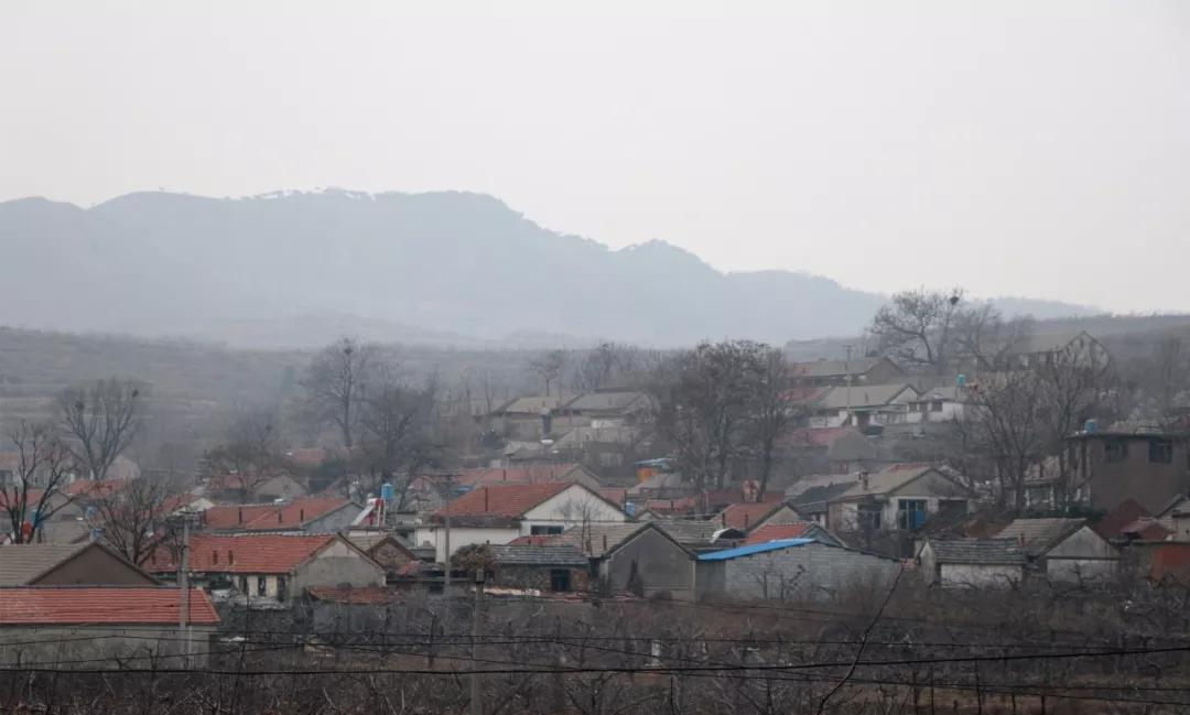 桥下是一条小溪,溪水源于村庄南侧的大山,向北跟其他河流汇成金山河