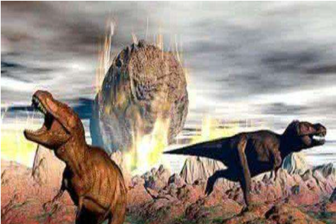 第五次生物大灭绝距今6500万年前的白垩纪末期