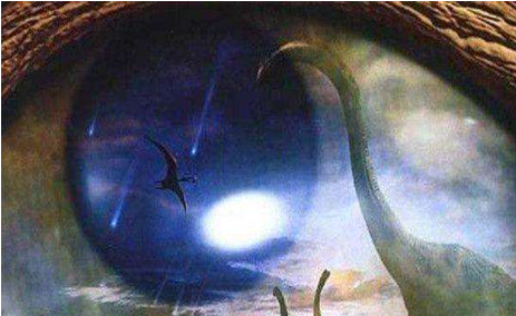 第五次生物大灭绝距今6500万年前的白垩纪末期