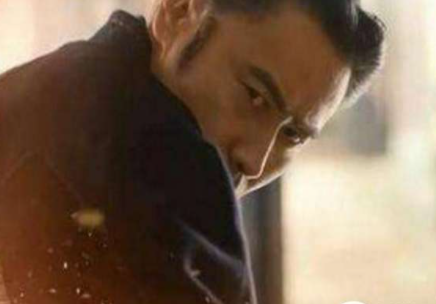 司马家取代曹魏，并非是靠忍和无耻，主要是遇到猪一样的曹氏宗亲。