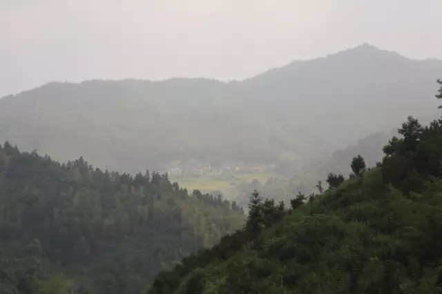 高安胡姓竟然都是华林人