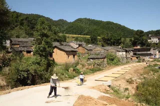 高安胡姓竟然都是华林人