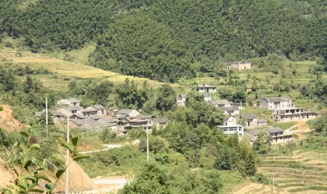 高安胡姓竟然都是华林人