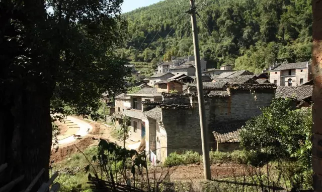 高安胡姓竟然都是华林人