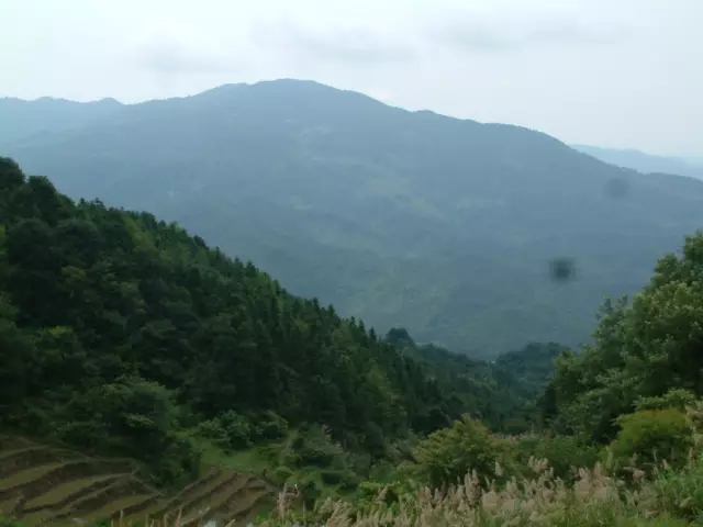 高安胡姓竟然都是华林人