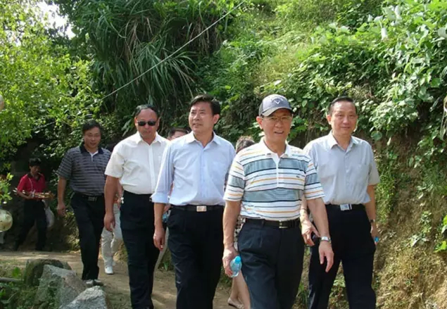 高安胡姓竟然都是华林人