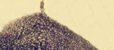 古代战场处理尸体的四种方法，最后一种令人难以接受啊