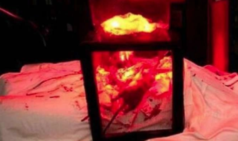 揭秘，朱元璋发明此酷刑，用老鼠行刑，堪称变态！