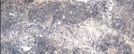 秦陇文化—岩画大观—贺兰山岩画是原始艺术之门(三)