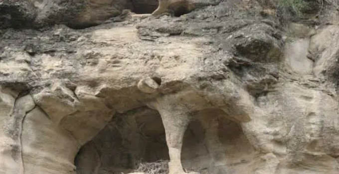 秦陇文化—古迹建筑—唐王寨