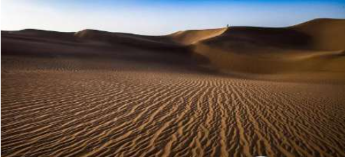 世界最大沙漠的区域分布以及环境。