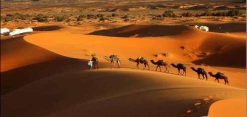 世界最大沙漠的区域分布以及环境。