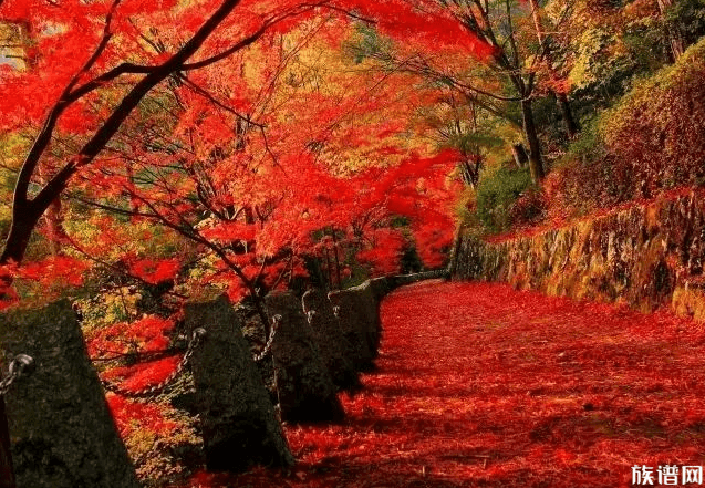 今日寒露,你知道寒露有哪些习俗吗?