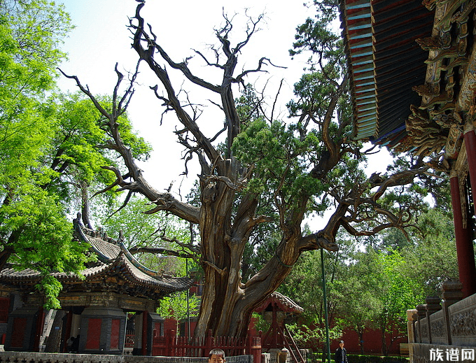 世界上最大的皇家祠堂--晋祠，你知道它悠久的文化之美吗？