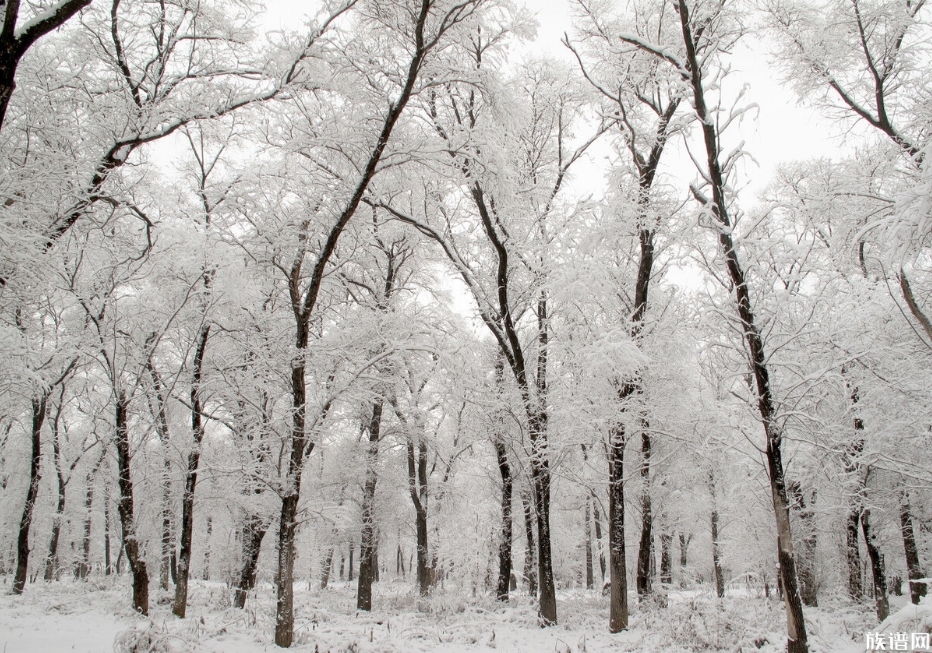 今冬拉尼娜发生成定局，古代有遇到过极冷的特殊天气吗？