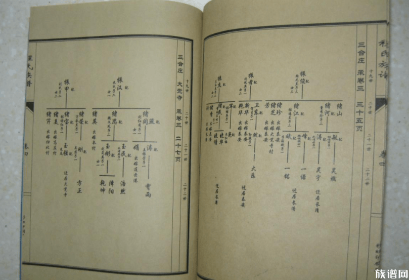 家谱质量的高低具体体现在哪些方面?