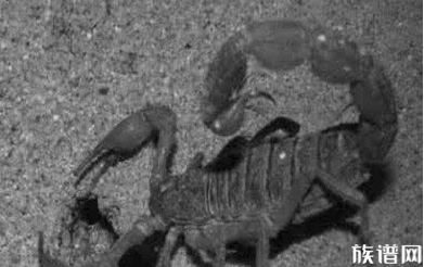 一名古巴男子不再使用传统药物治疗疼痛，那他转用什么办法呢？