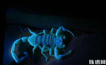 一名古巴男子不再使用传统药物治疗疼痛，那他转用什么办法呢？