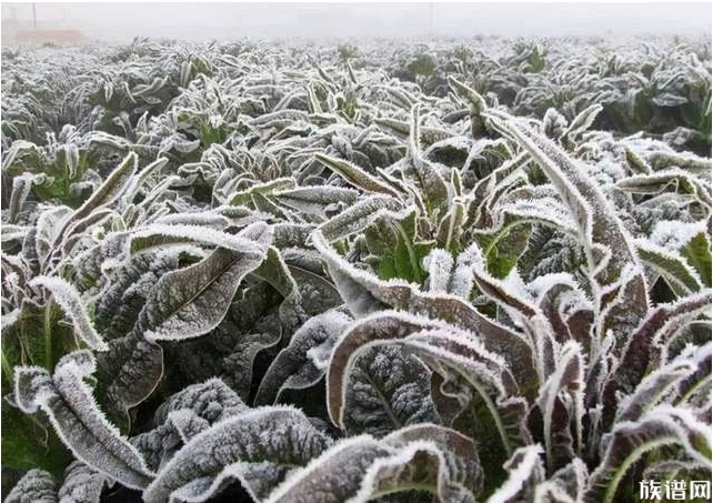 冬天已到,古人们在冬天时常会做什么事情?