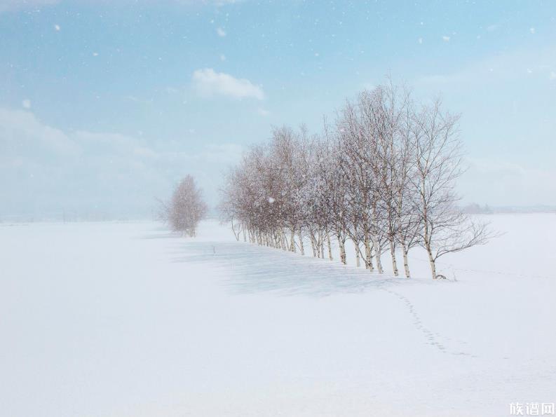 大范围雨雪即将重启，历史上有没有发生过大范围的雨雪天气？