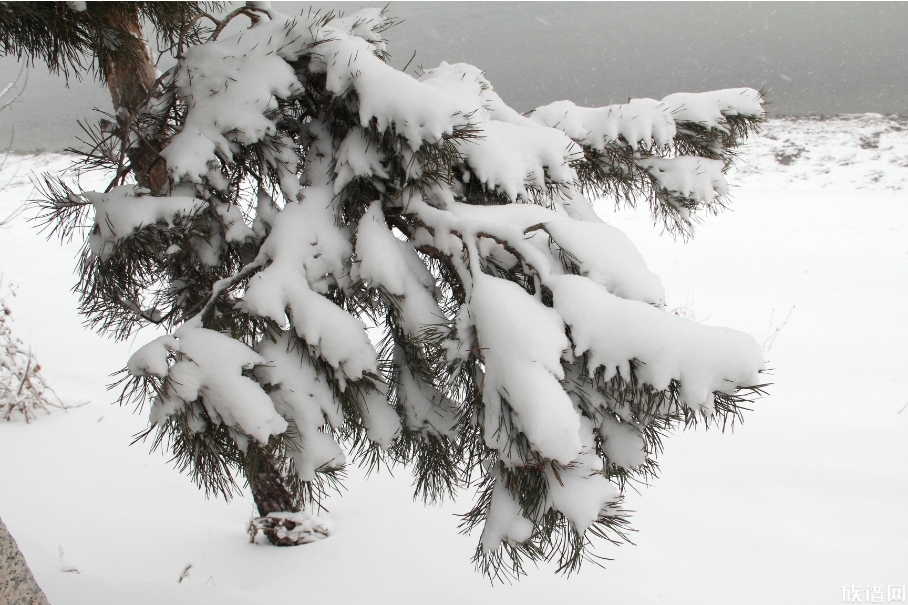 大范围雨雪即将重启，历史上有没有发生过大范围的雨雪天气？