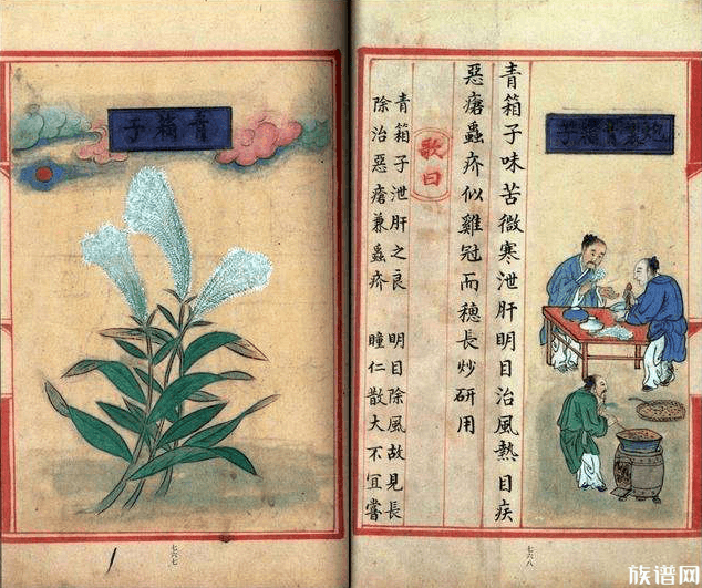 中国药学始祖唐慎微，他在药学方面有什么突出贡献？