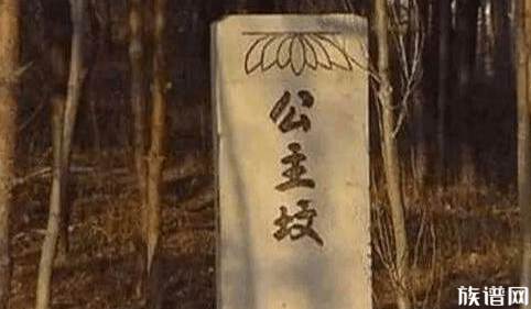 北京公主坟埋葬的是哪位公主？同葬两位公主身份却天差地别