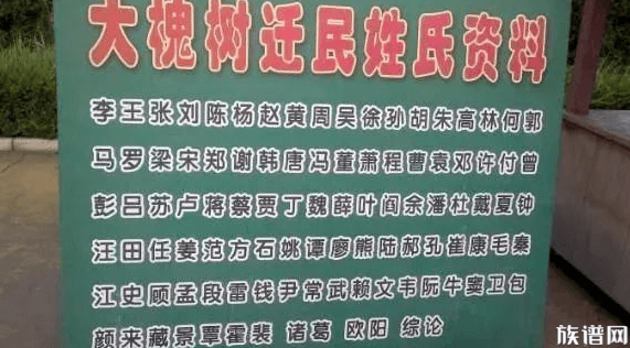 当年的大槐树移民移了多少姓氏，你知道吗？