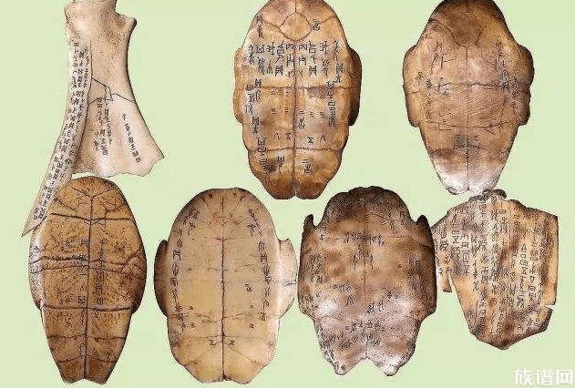 原来家谱有这么多种类,你还知道哪些家谱种类?