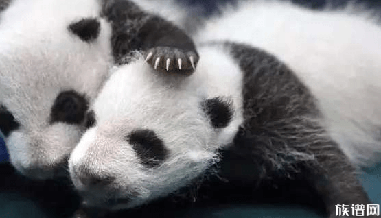 盘点三个最常见的网络谎言,也许你已经碰到无数次了!