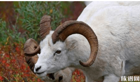 你知道这些常用语的历史由来吗？“面首”一词竟是山阴公主首创