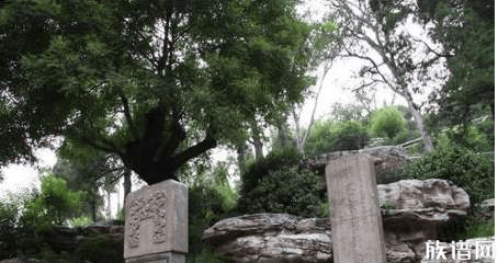 亡皆诸臣误崇祯，到底是谁误了他？他何出此言