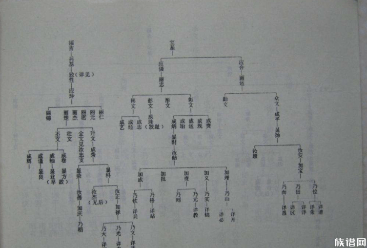 新谱和旧谱有哪些区别，我们该怎样区分新谱和旧谱？