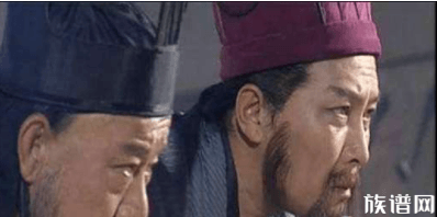 蜀国衰亡除了诸葛亮的死，还归结于一次刺杀案